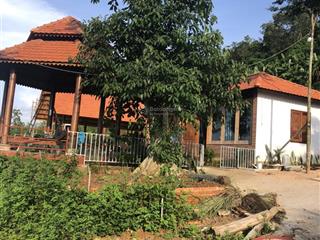 Chính chủ cần bán gấp đất tặng nhà (kiểu homestay), mới 100% xã lang minh  xuân lộc, giá 5,9 tỷ