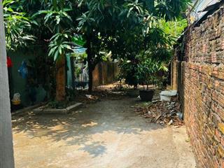 Cho thuê nhà cũ 2 tầng - 2 mặt tiền sân vườn - Nguyễn Tri Phương và Trường Thi - Thanh Khê ( ngang 5m)