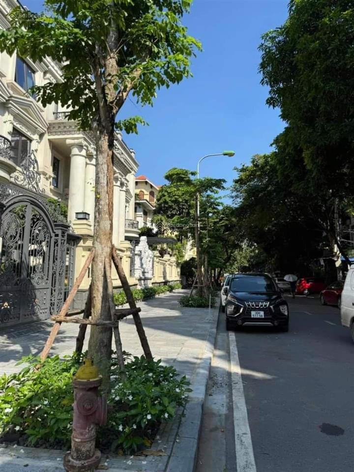 Hàng hot trần kim xuyến phân lô ôtô tải tránh dừng đỗ vỉa hè 2m, cách phố 20m 120m2*6t. dt 1 tỷ/năm
