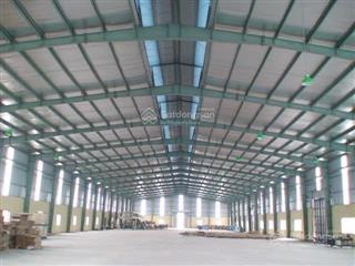 Cho thuê kho 3000m2  sân 2000m2 ( xây mới có pccc )