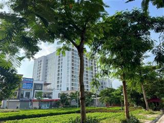 ❇️Cc:Pán lô đất view Vườn Hoa khu KHẢ LỄ 3 -P.VÕ CƯỜNG - TP BẮC NINH 
Dt : 81 m2 Mt : 4.5m