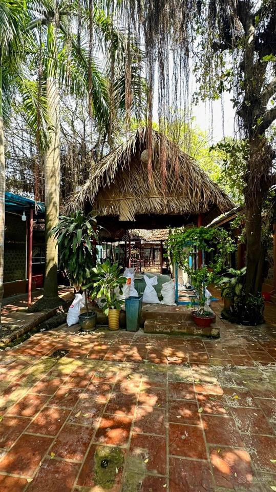 Cần bán gấp nhà đất 628m2 mt nguyễn thị thập, p. tân quy, giá 109tr/m2 vị trí cực đẹp để kinh doanh