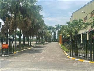 Cho thuê gấp kho, xưởng, nhà máy 3000m2, 5000m2 siêu đẹp phú xuyên, hà nội.  0932 871 ***