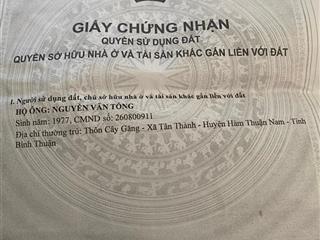 Bán khu đất cây lâu năm 8359,4 m. đường nhựa 719a đi vào , view biển, nằm trên đồi cao nhìn ra biển