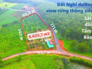 Chỉ 2,3 tỷ/1.000m2 đất siêu đẹp view rừng thông và đồi chè tâm châu bảo lộc