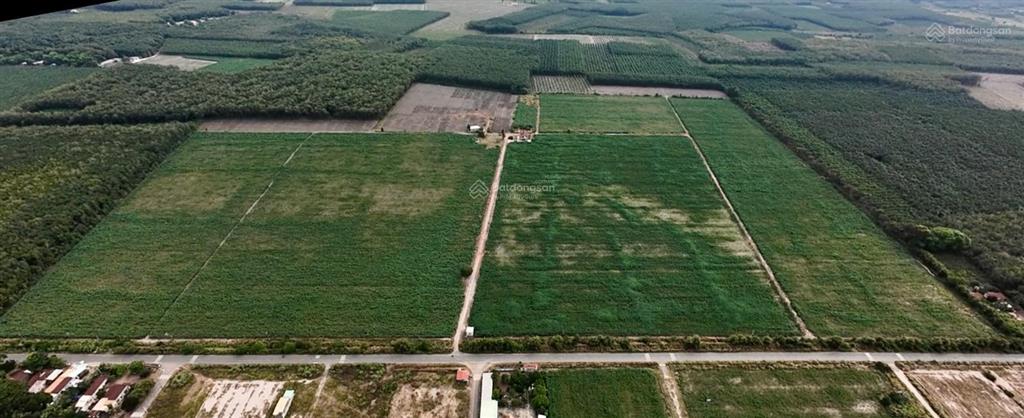 Cần bán 43 ha đất tại nha bích, chơn thành, bình phước 1 km mặt tiền đường nhựa, đầu tư sinh lời