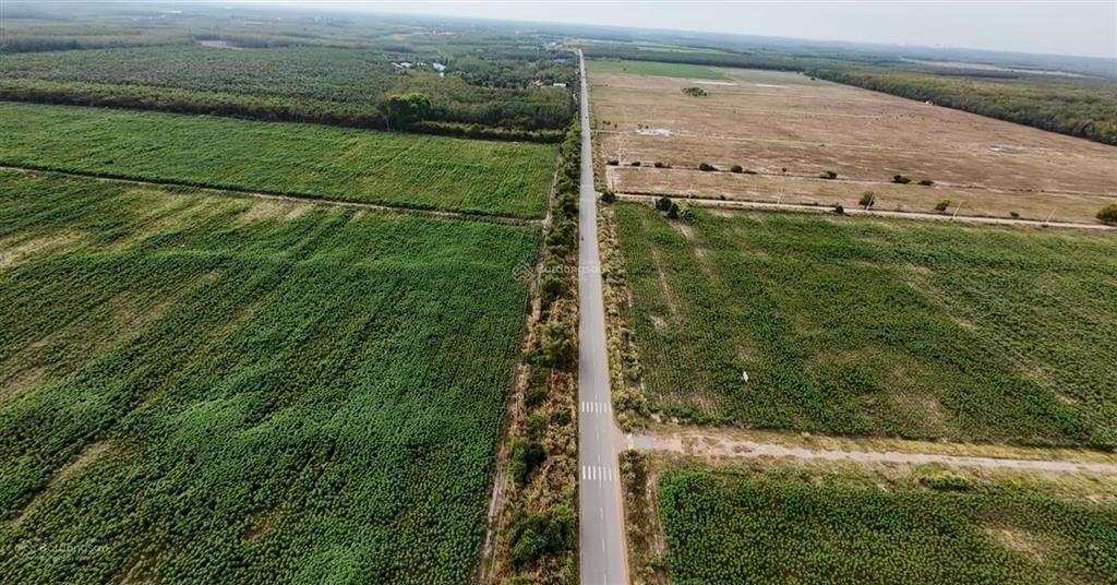 Cần bán 43 ha đất tại nha bích, chơn thành, bình phước 1 km mặt tiền đường nhựa, đầu tư sinh lời