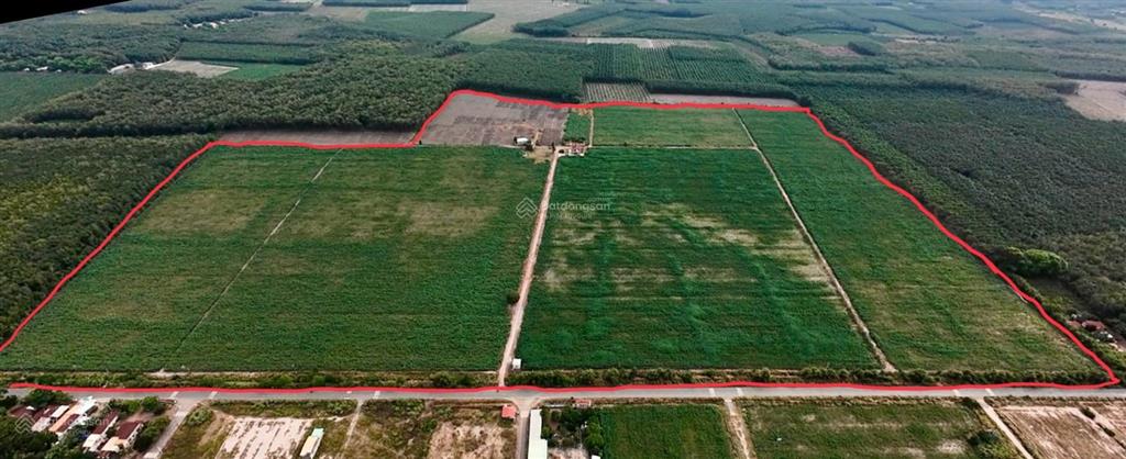Cần bán 43 ha đất tại nha bích, chơn thành, bình phước 1 km mặt tiền đường nhựa, đầu tư sinh lời