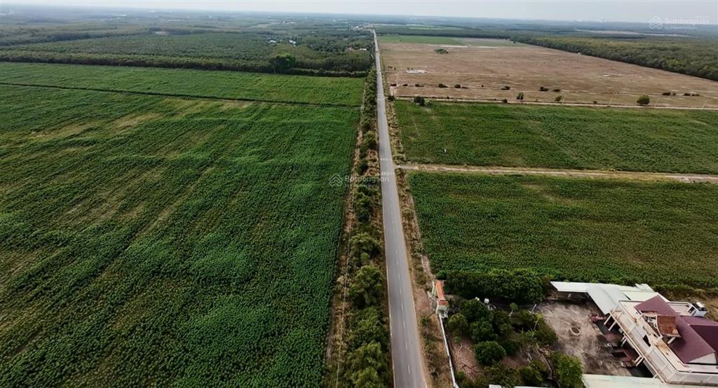 Cần bán 43 ha đất tại nha bích, chơn thành, bình phước 1 km mặt tiền đường nhựa, đầu tư sinh lời