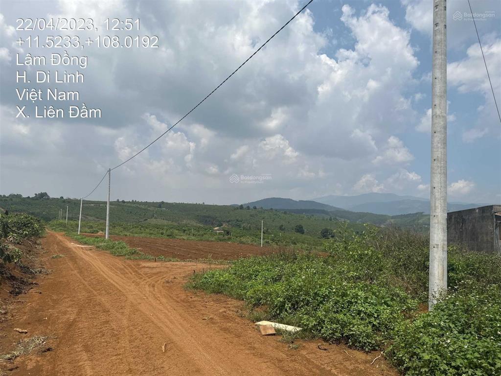 Mình chính chủ bán lô đất 1.5ha tại di linh lâm, shr