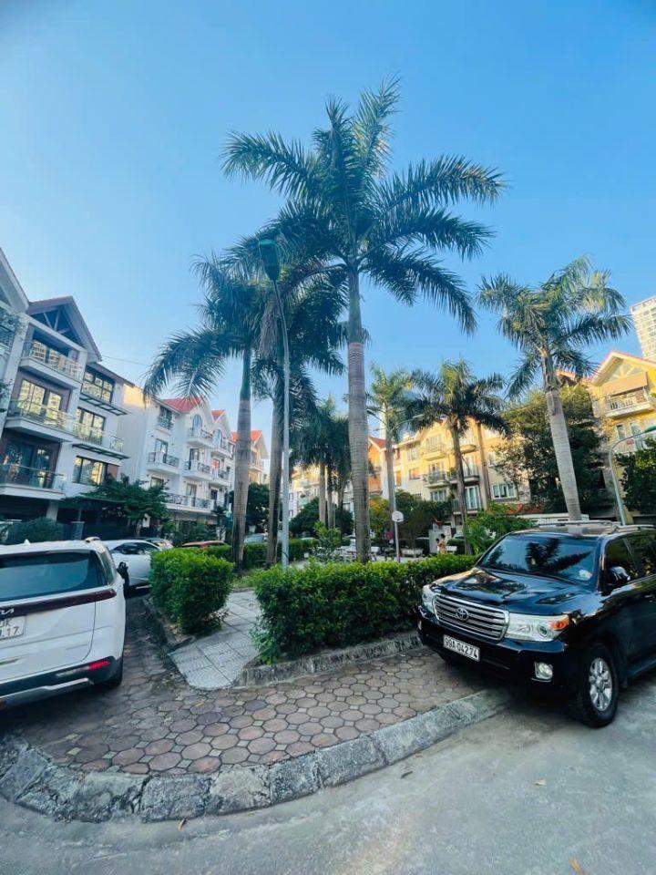 Bán gấp liền kề Đỗ Đức Dục, Mễ Trì, 123m2, đối diện KS Mariott, 2 thoáng, giá chỉ 38.5 tỷ