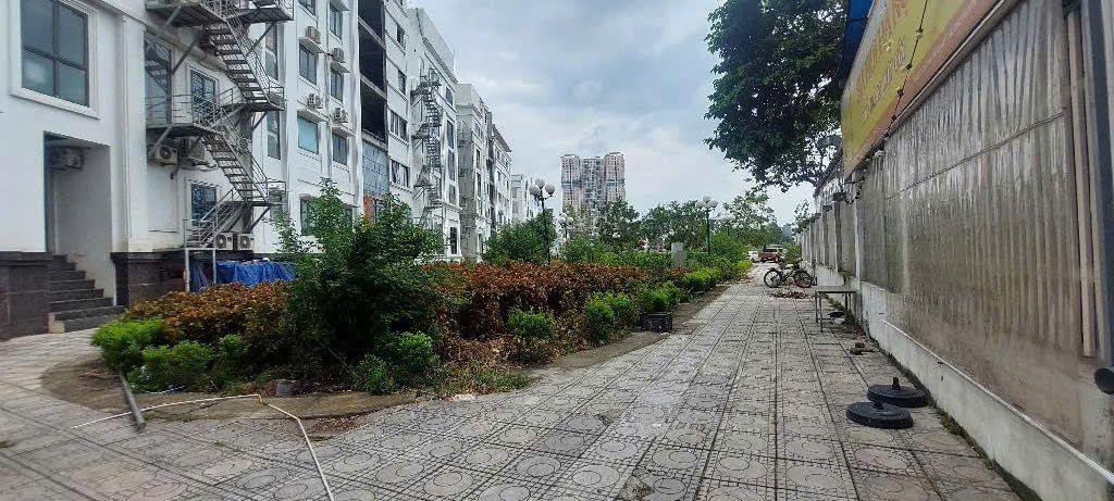 Bán gấp BT góc 300m2 dãy A2 Geleximco, kinh doanh, giá nhỉnh 59 tỷ