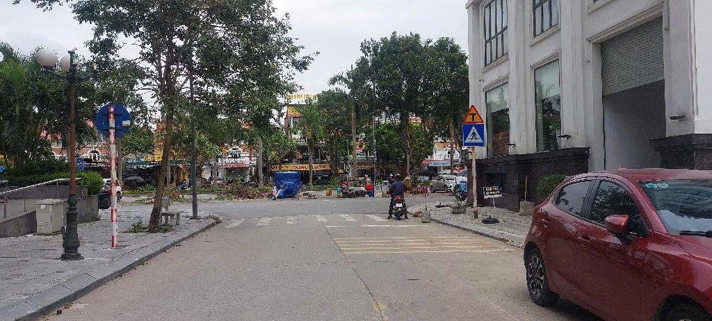 Bán gấp BT góc 300m2 dãy A2 Geleximco, kinh doanh, giá nhỉnh 59 tỷ