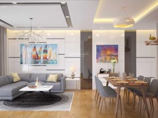 Cần tiền bán gấp căn hộ chung cư cao cấp tại trung tâm mỹ đình  iris garden  3.3 tỷ