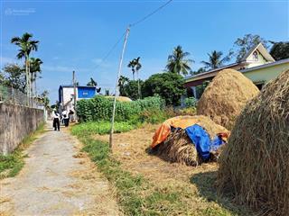 Còn đúng 4 lô đất cỏ dành cho anh chị em đầu tư ít vốn tại xã kiến thiết  tiên lãng  hải phòng