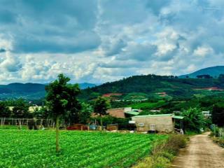 Bán gấp lô đất view hồ đông thanh, full thổ cư cách nhựa chỉ 500m