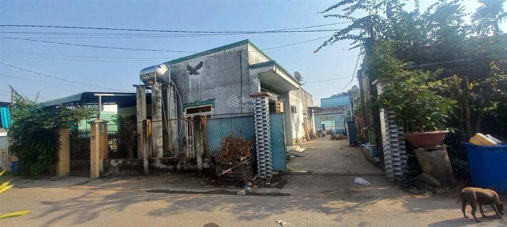 Cho thuê 584m2 sau lưng ubnd xã long an cho chuyên gia hoặc cty làm kho bãi