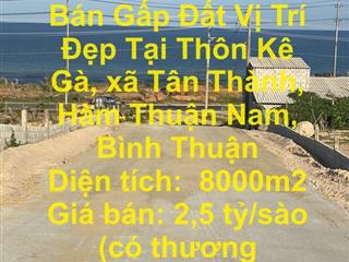 CHÍNH CHỦ Cần Bán Gấp Đất Vị Trí Đẹp Tại Thôn Kê Gà, xã Tân Thành, Hàm Thuận Nam, Bình