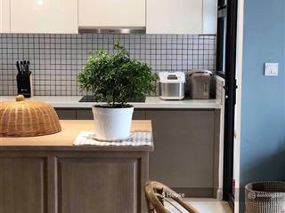 Tin mới  trực tiếp chính chủ  2 phòng ngủ tháp 3 ( tháp thương mại ) dt 100m2  giá 12,6 tỷ