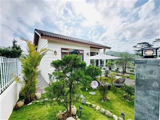 Bán villa/biệt thự view rừng thông đà lạt bao quanh xanh ngát, thiết kế sang trọng