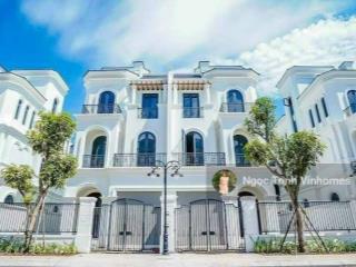 Song lập ngọc trai đảo nhỏ 165m2 giá chỉ 38 tỷ tại vinhomes ocean park gia lâm. giá tốt nhất