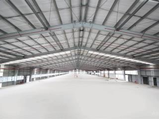 Cho thuê kho xưởng mới 5000m2, 8000m2, 12.000m2 kcn long hậu, long hậu, cần giuộc, long an