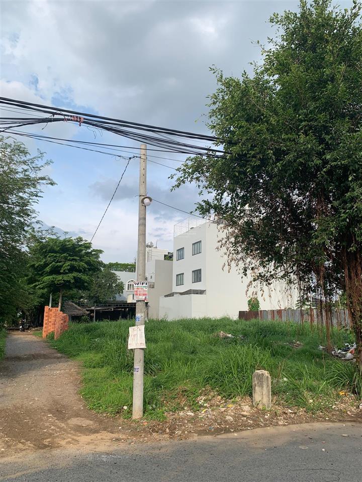 Cần bán gấp 881 m2 đất mặt tiền đẹp đường số 9 hiệp bình phước thủ đức. giá chỉ 55 triệu/m2