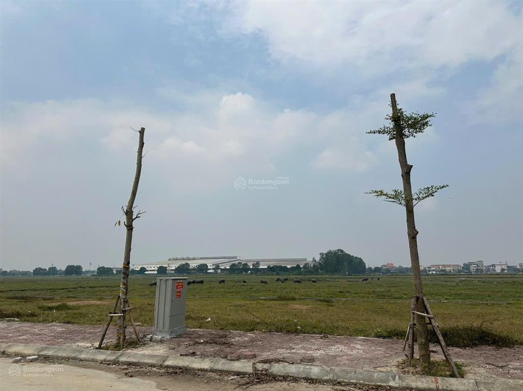 Đất đấu giá khu bạch đa  kim hoa, mê linh, cạnh vành đai 4, giá ưu đãi,  0865 214 ***