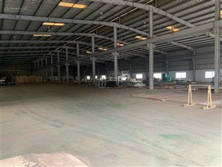 Bán nhanh khô quất động 5000m2