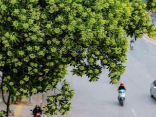 Hiếm! 13 tỷ nhà phố nguyễn chí thanh, tt đống đaô tô qua nhàngõ thông kinh doanh