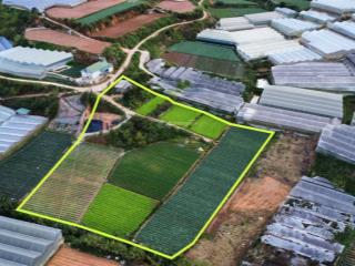 8 lô đất nông nghiệp diện tích 600  1600m2 tại phường 5, đà lạt shr chính chủ. giá 2,9tr/m2