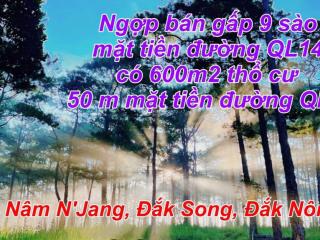 Ngợp bán lô đất hơn 9.000m2 mặt tiền đường ql14 ngay trung tâm dak song  dak nông