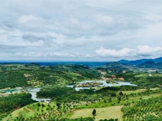 Sở hữu ngay 1000m đất nghỉ dưỡng view săn mây cực đẹp tại lộc bắc, chỉ 520 triệu