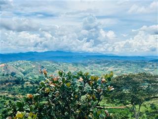 Bắt trọn cơ hội đầu tư 1000m2 đất view mây, giá 550 triệu tại lộc bắc