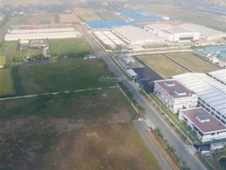 Bán đất trong kcn long an, 5.000m2 30.000m2, đất đóng thuế 1 lần tiếp nhận nhiều ngành nghề