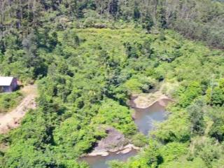 Bán đất rừng sản xuất 50.000m2 (5ha), 2.9 tỷ, bán đảo sơn trà, q. sơn trà (gần chùa linh ứng)