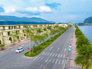 Quỹ căn mới ra mắt tại safabay  green dragon city cẩm phả