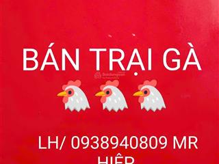 Bán trại gà bình phước mới nhất hôm nay