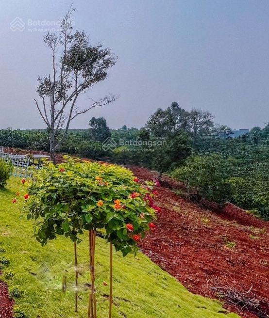 Kẹt tiền cần thanh lý lô đất view đồi hơn 400m2 xã lộc an, bảo lâm