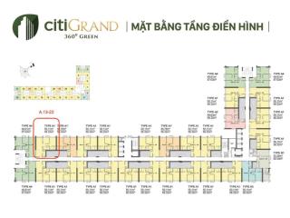 Lỗ gấp! bán lỗ căn 2pn giá rẻ nhất dự án nói riêng và quận 2 nói chung. chỉ 40 triệu/ m2 (có vat)