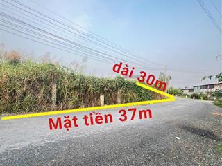 1007m2 lô góc 3 mt đường lương văn tiên qh 18m  gần tuyến tránh ql50. full thổ cư giá 12,5 tr/m2