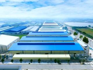 Kho nhà xưởng rộng 7.320m2, ngang 140m2 tại lô góc 2 mặt tiền, gần cảng cá thọ quang đang cho thuê