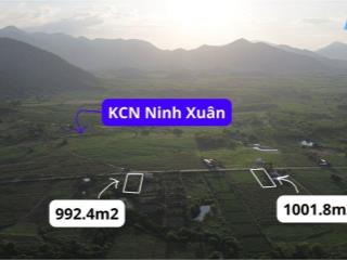 Cần tiền nên bán nhanh cả 2 lô đất 1000m2 và 992 m2 mặt tiền siêu đẹp Thị xã Ninh Hòa –Khánh Hòa.