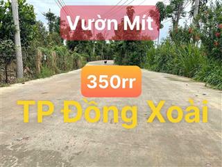 Vườn mít 350tr  1000m2 ngay tp. đồng xoài, đường bê tông 8m hơn 20 gốc mít