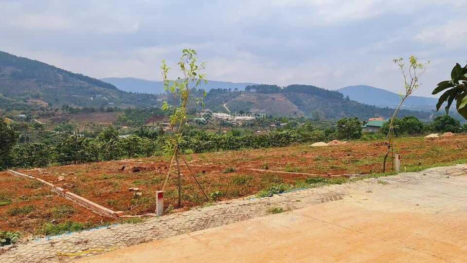 Đất cá nhân chính chủ tt nam hà lâm hà view đỉnh đồi cực đẹp
