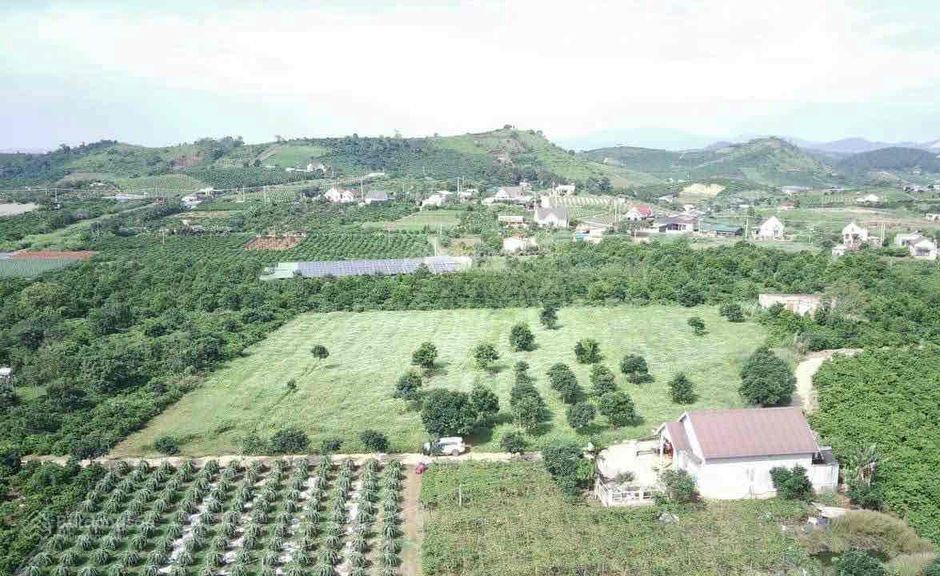 Cần ra nhanh lô đất chính chủ 1000m2, tại nam hà có thương lượng cho khách thiện chí
