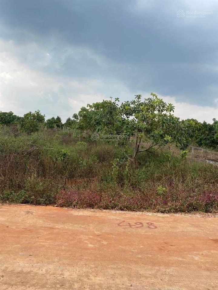 Cần tiền trả nợ bán 524m2 có sổ riêng, giá siêu tốt tại lâm đồng