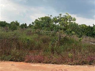 Cần tiền trả nợ bán 524m2 có sổ riêng, giá siêu tốt tại lâm đồng