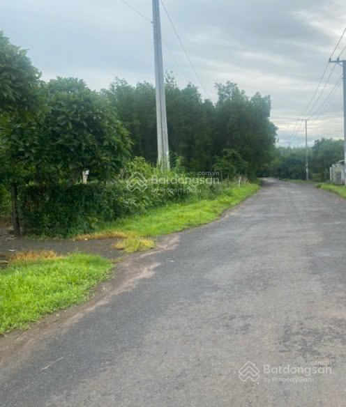 Bán đất tại phước long thọ, đất đỏ, bà rịa vũng tàu, giá ưu đãi chỉ với 7,41 tỷ, 488m2