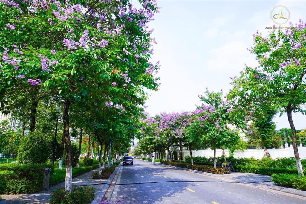 Cho thuê căn hộ 3 phòng ngủ cao cấp tại moonlight 1  giá ưu đãi,  ngay